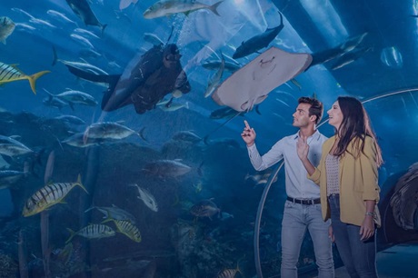 Dubai Aquarium & Underwater Zoo