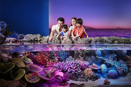SEA LIFE Bangkok