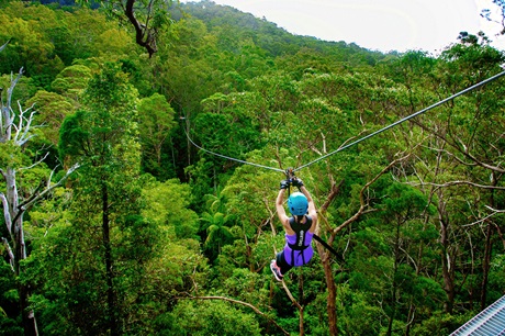 TreeTop Challenge Tamborine